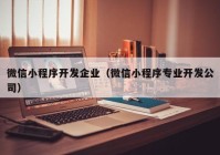 微信小程序开发企业（微信小程序专业开发公司）