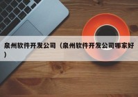 泉州软件开发公司（泉州软件开发公司哪家好）